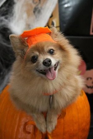 ezgif.com-gif-maker (13).jpg