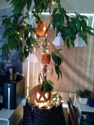 the halloween tree 2020.jpg