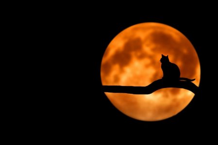 halloween full moon.jpg