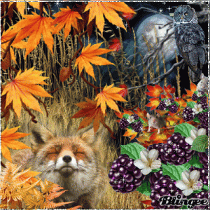 08897836-EC95-47B2-A4F5-FFF4FCF7C3D6.gif