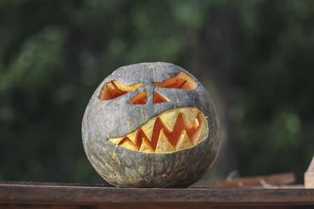 halloween-2904341__480.jpg