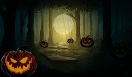 istockphoto-1409909470-612x612.jpg