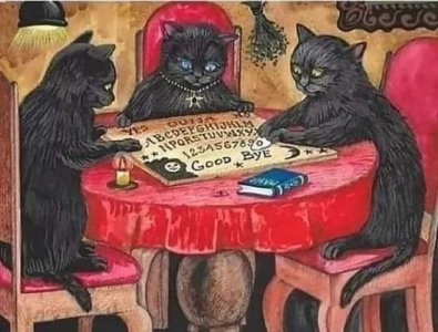 black cats ouija.jpg