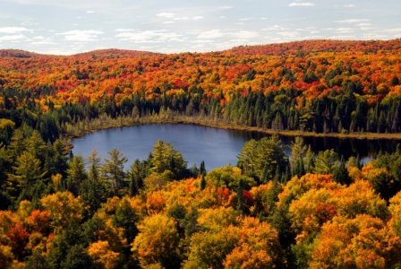 algonquinautumn.jpg