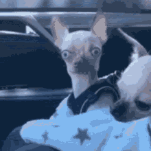 too much caffeine .gif