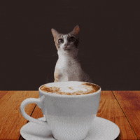 200w (1).gif