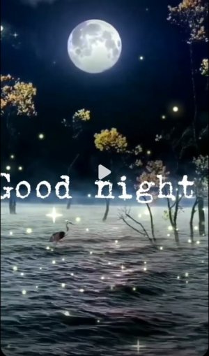 B8E22DFA-45DC-4D78-815F-70D586A73D64.jpeg