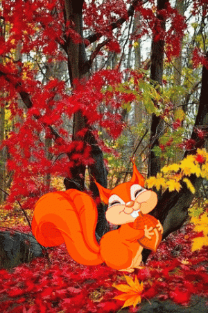 F3123D29-0A00-4944-AF32-8565018AD94D.gif