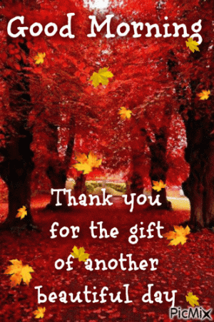 3570698_ca35f.gif