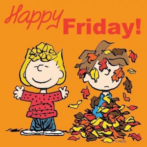 happy friday.jpg