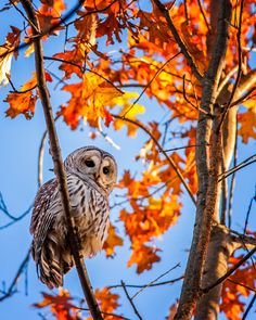 717e26e679a85813a85483155692a9e9[1].jpg