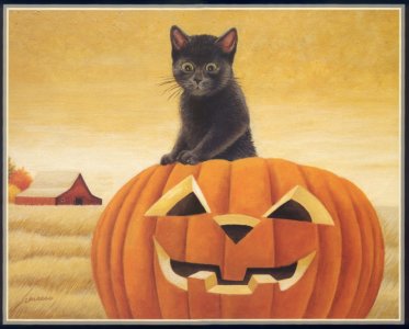 Cat in Pumpkin.jpg