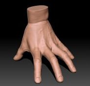 hand.jpg