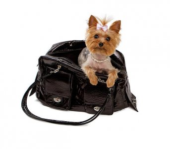 istockphoto-153513967-612x612.jpg