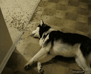 3.gif