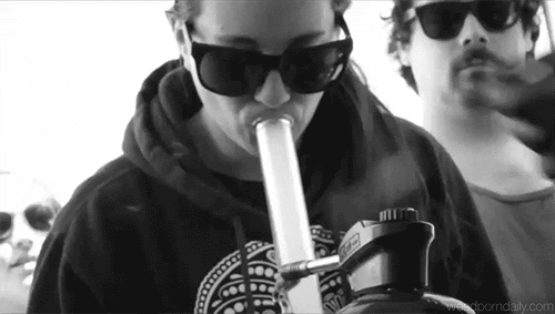 CheeryQuerulousCanvasback-max-1mb.gif