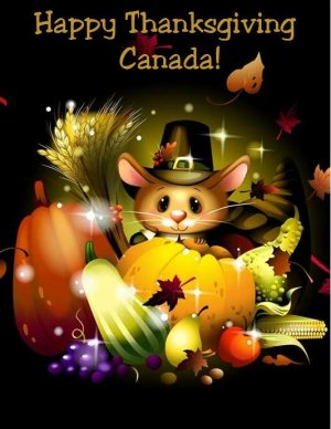 cc3f1373f7f84300dcd967d5b977b06a[1].jpg