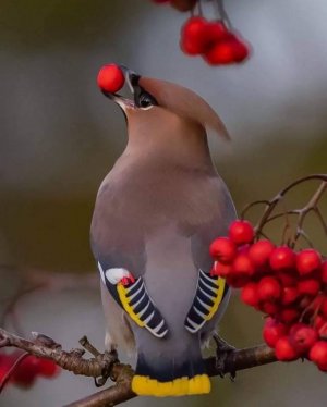 tumblr_5569d99e98cc99ef55c6159bea960a4b_1f971c00_1280.jpg