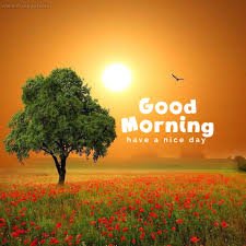 106F65E7-DA60-414F-9BDF-EC7E32FFE727.jpeg