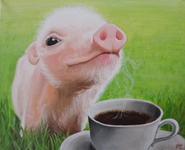 pig.jpg