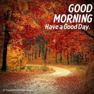 good_morning_fall_images_39-1024x1024.jpeg