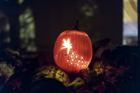 jack-o-lantern-1287381__480.jpg
