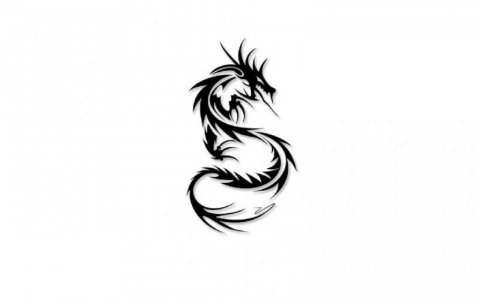 dragon.jpg