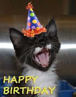 HBD NANCY.jpg