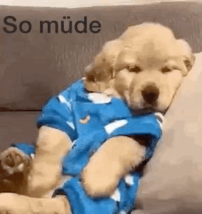BA00073A-EE27-4300-AC12-D65D74AB769A.gif
