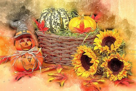 autumn-3406753__480.jpg