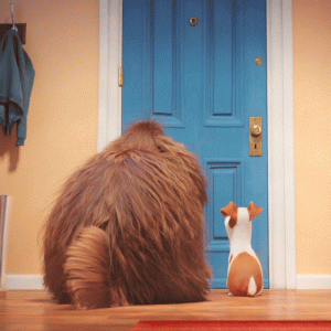 e77b4de325ec73991d9b0ef7c25a92d9[1].gif