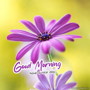 funkylife-good-morning-images-30.jpg