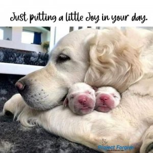 FB_IMG_1665433281702.jpg