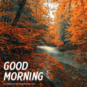 good_morning_fall_images_2-1024x1024.jpeg
