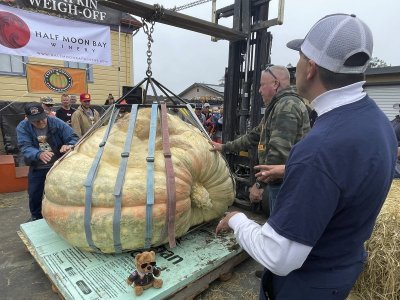 ap22283697167344-4f88fb3df7b292d9f42b18009adb681b418488c9-s1200.jpg