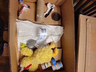 Toy box.jpg