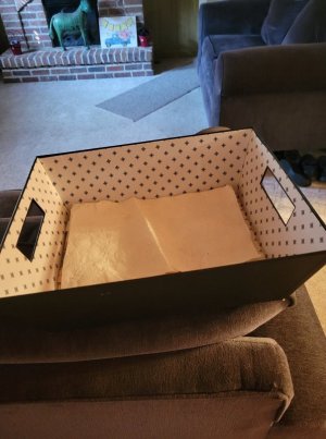 Fun box.jpg