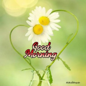 Good-Morning-Images (7).jpg