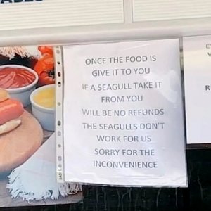 69C6F773-1599-4F55-9B0C-DDC763B2B3EE.jpeg