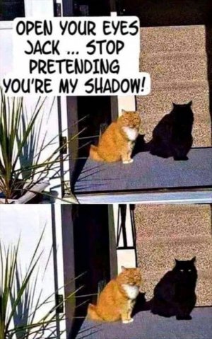 shadow.jpg