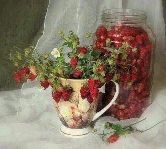 tumblr_f0d5bd2c60e31a508ecb1090e919ce47_1b1a15b1_540.jpg