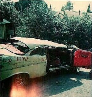 wildfire #2.jpg