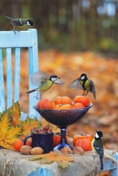 f10cf0e3042fc6d5970e917666470945[1].jpg