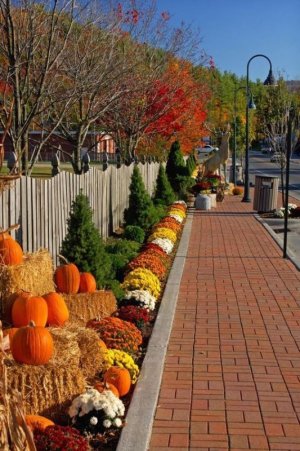 21d6d745c0cb7196f872bacc986a2605[1].jpg