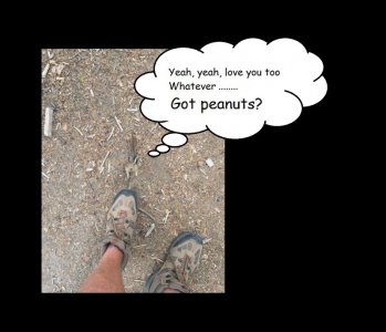peanuts.jpg