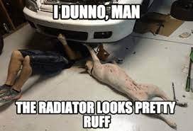 ruffradjpg.jpg