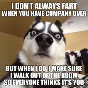 fartypants.jpg