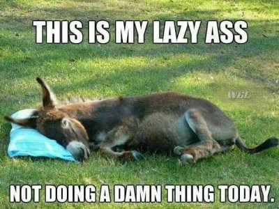 lazy.jpg