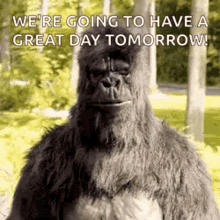 grilla-yes[1].gif