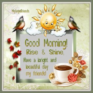 good morning birds.jpg